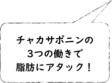 チャカサポニンの3つの働きで脂肪にアタック！