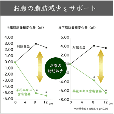 お腹の脂肪減少をサポートのグラフ